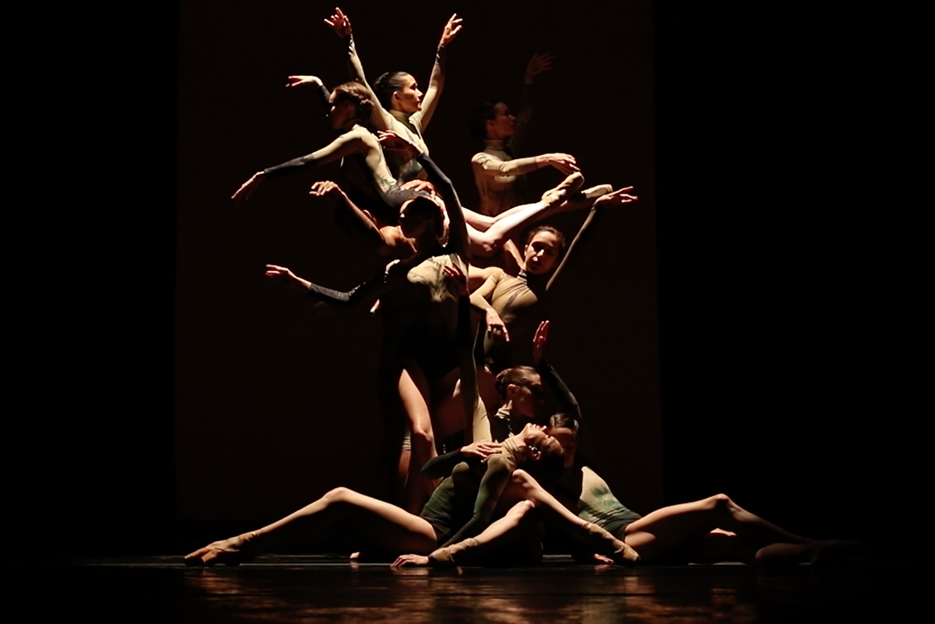 Dimensions Dance Theatre of Miami