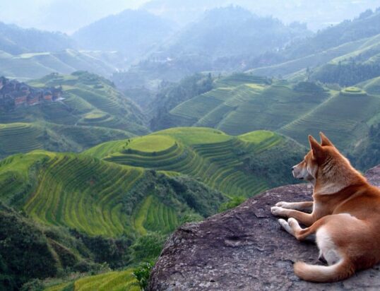 Thumbnail of http://Featured%20image%20Event