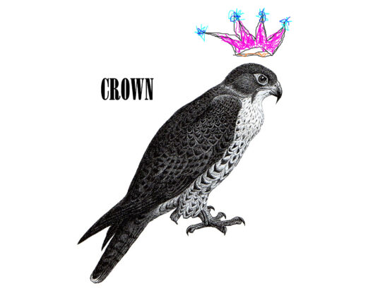 Thumbnail of http://brigid%20baker%20wholeproject%20“Crown”